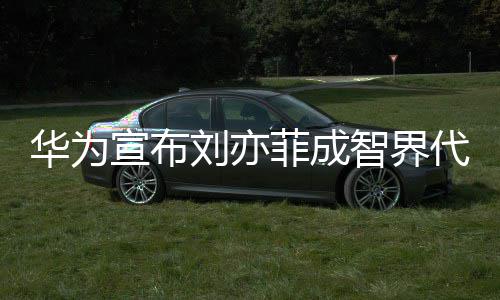 人智界太优菲成宣布刘亦鎏金礼裙代言一袭雅华为深V